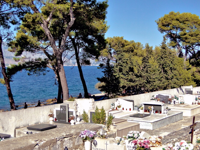 Serene Seafront Cemetery with Pine-Studded Hillside
