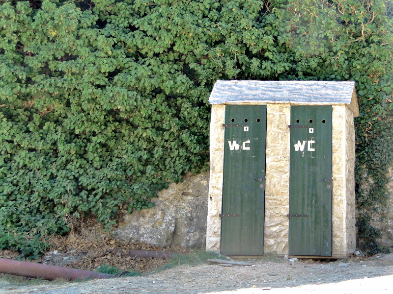 Antique Stone Outhouse in a Rural Setting
