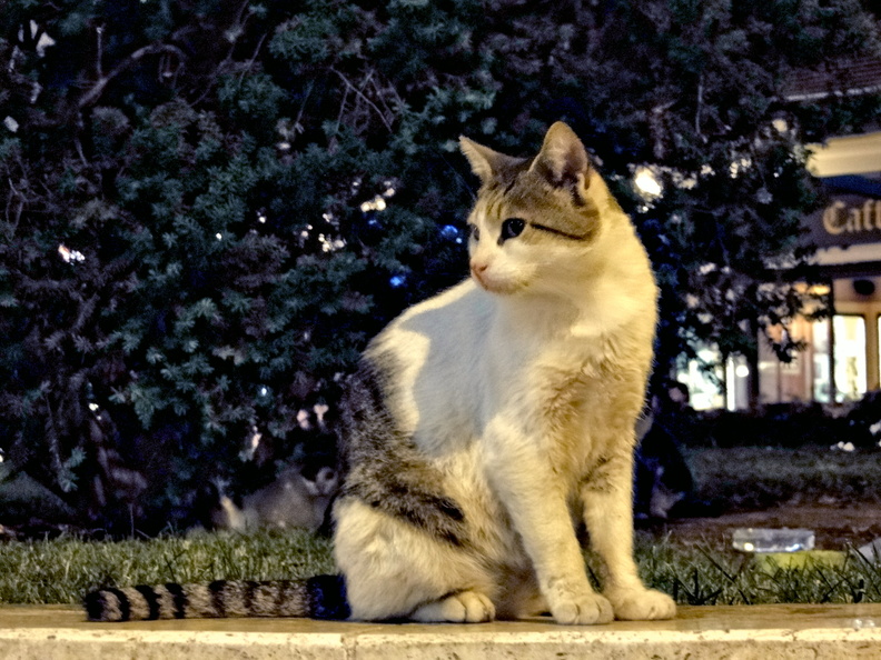 DSC03653.JPG