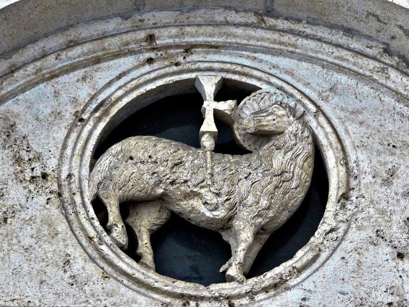 Gargoyle of a Boar in Trogir, Croatia
