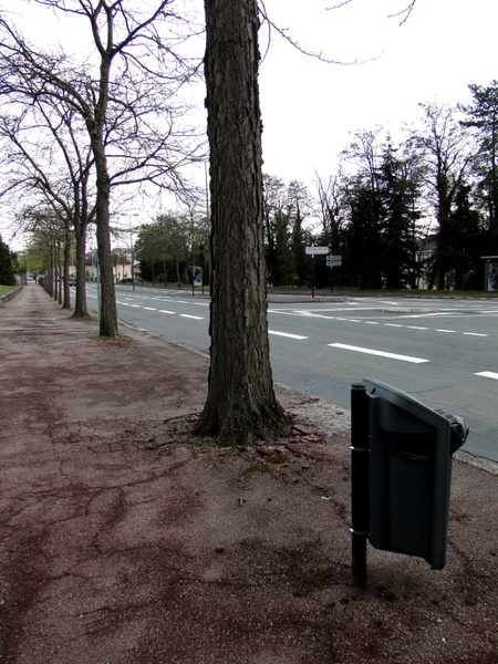 An Empty Street in Limoges at Night