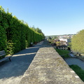 Elevated View in European Park