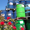Chemical Storage Facility with Red Roses in the Foreground