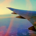 Soaring Through the Sky at Sunset