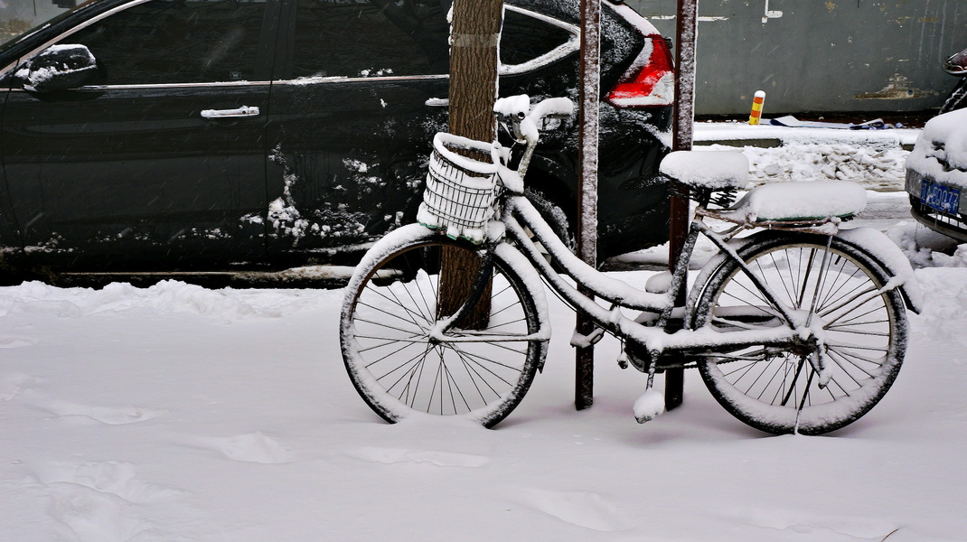 Shenyang: A Winter's Day in the City