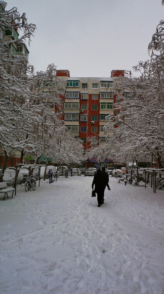 A serene winter scene in a park
