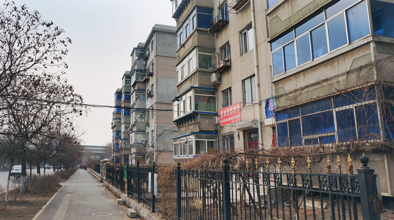 This image captures an urban street scene, featuring a row of multi-story residential buildings with balconies. The architecture is indicative of a European style, and the setting appears to be in Shenyang, China. The weather seems overcast or cloudy, and there are no visible people in the image. DSC07284.JPG