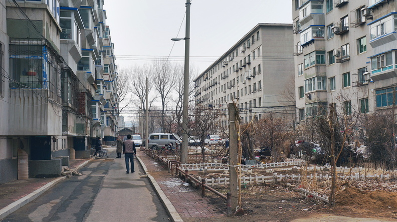 An Urban Scene with Construction and Tree Planting