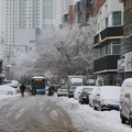 A Shenyang Street during a Snowstorm