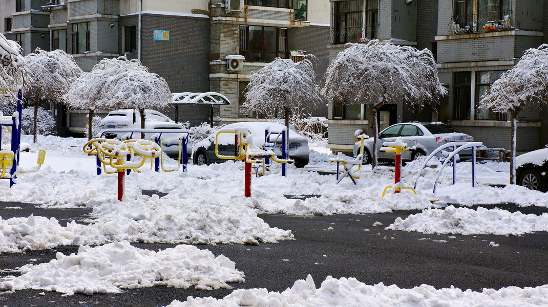 A Snowy Day in Shenyang, China