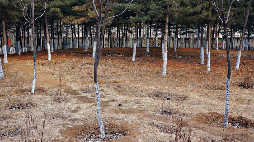 Seasonal Transition in an Urban Park