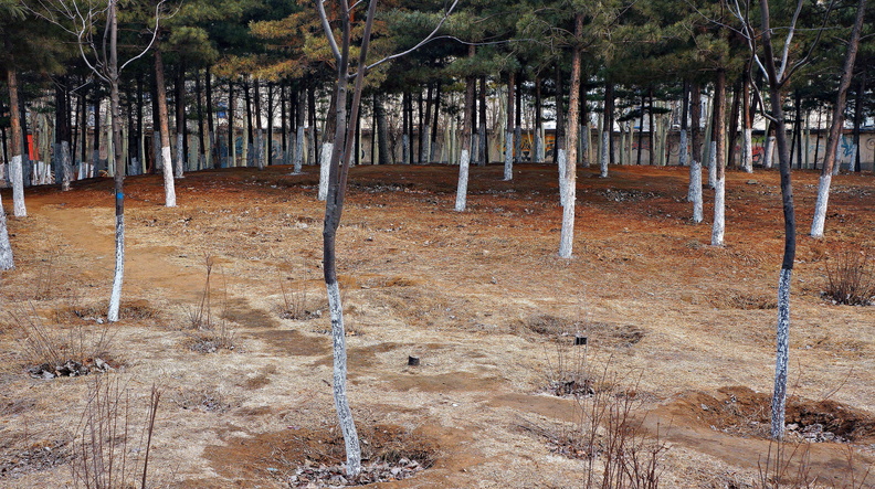 Seasonal Transition in an Urban Park