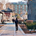Serene Park Path in Shenyang, China
