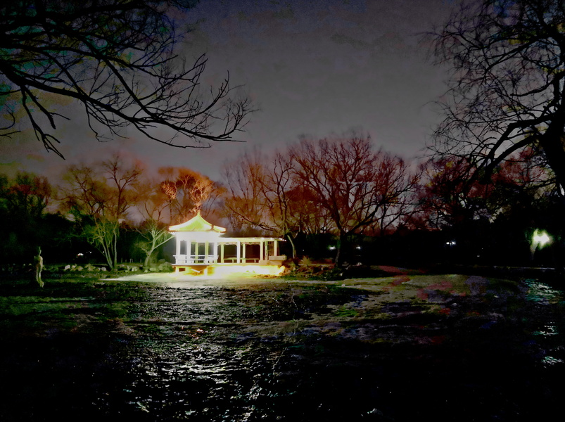 Nighttime Reflection at a Park Fountain