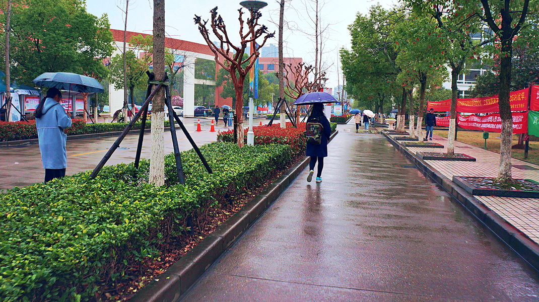 Rainy Day in Hangzhou, China