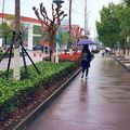 Rainy Day in Hangzhou, China