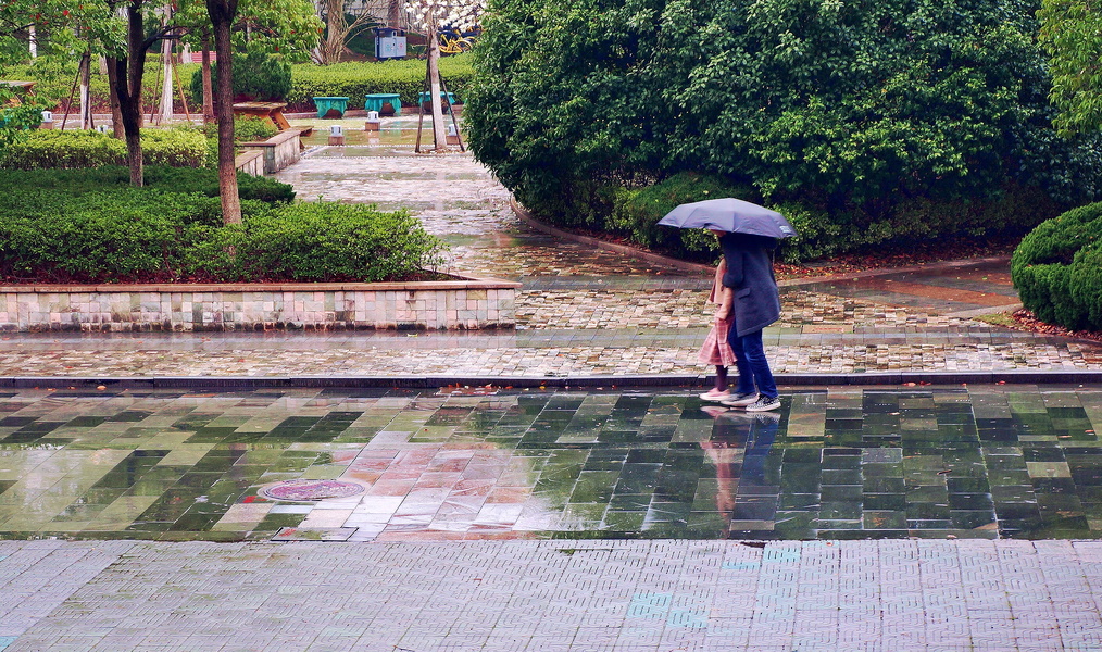 A Rainy Day in Hangzhou: A Lone Figure with an Umbrella