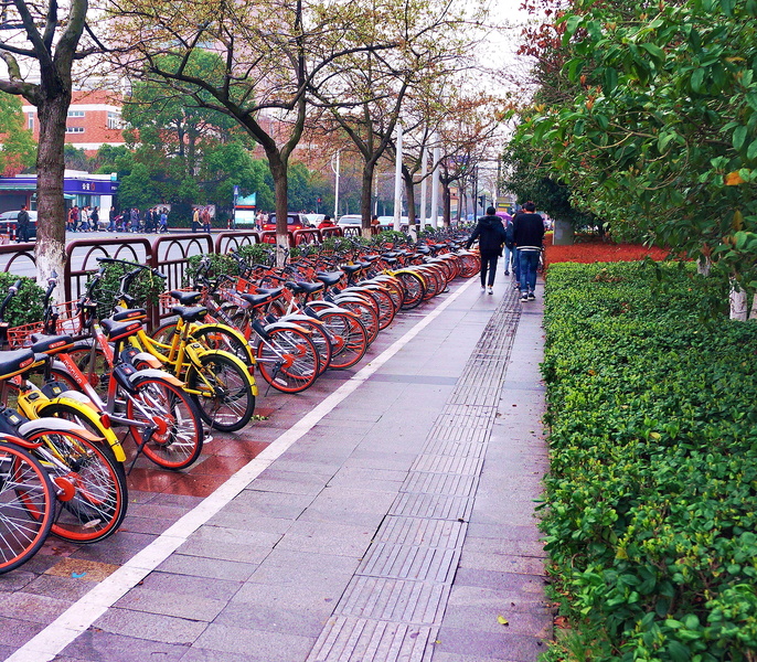 Multitude of Bicycles Parked in a Rain-Soaked Parking Area