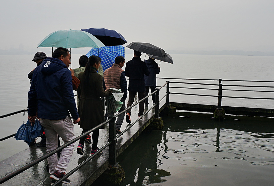 Rainy Day by the Lake