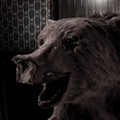 A Surreal Bear's-Eye View from a Dublin Theater