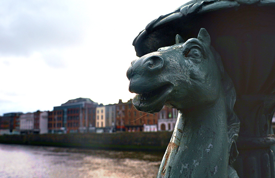 A Horse Statue by the River in Dublin