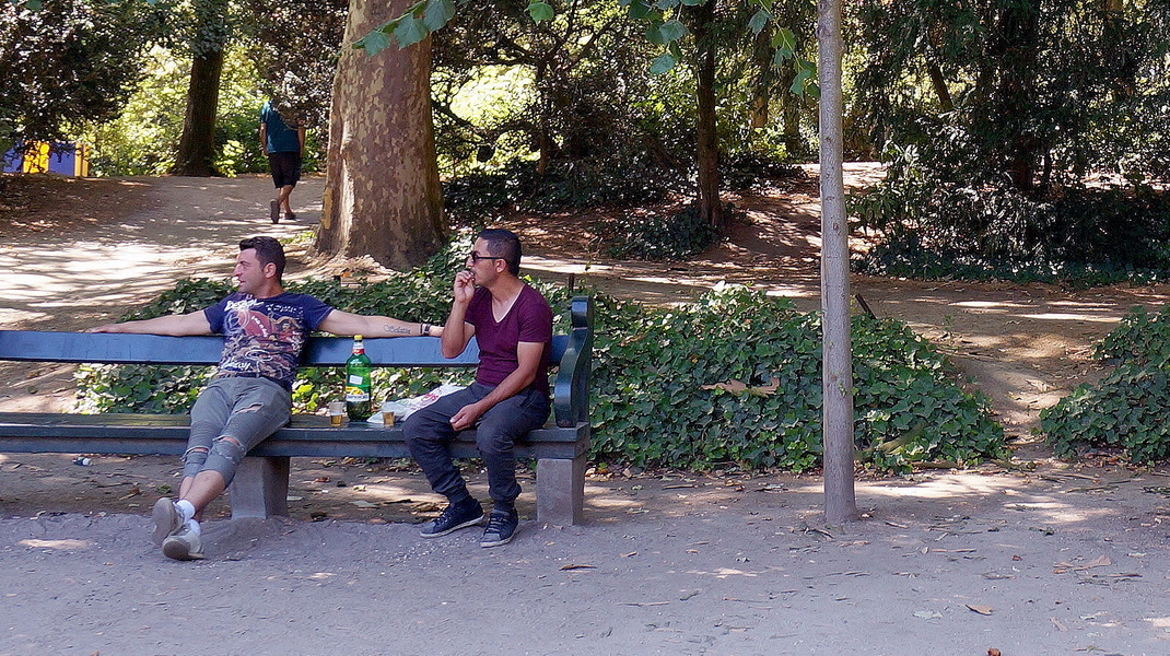 A Sunny Afternoon in the Park