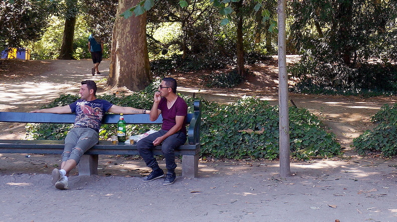 A Sunny Afternoon in the Park