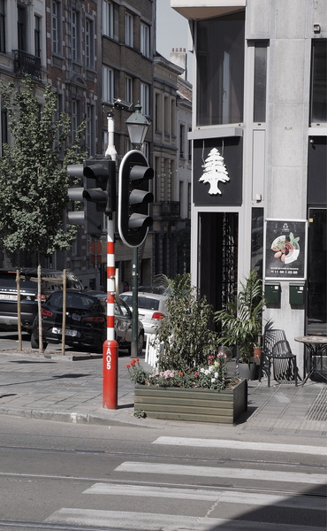 Brussels City Street
