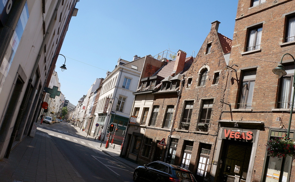 Quaint Brussels Street View