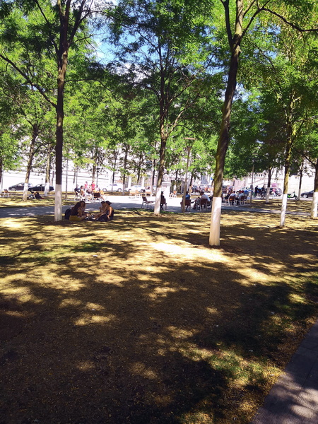 Serene City Park