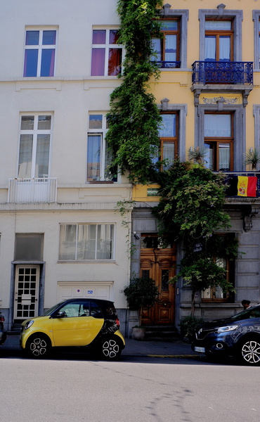 Brussels City Life: A Panoramic Street View