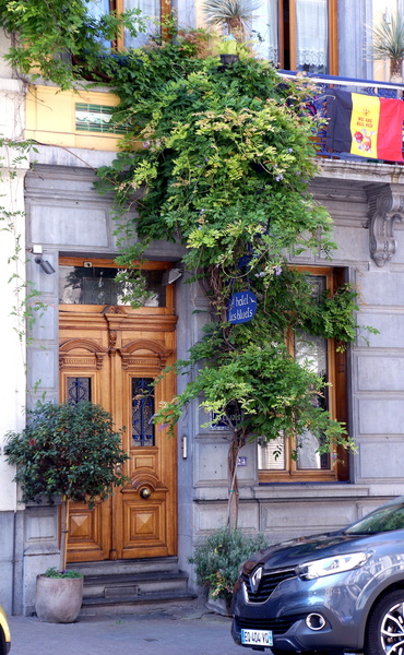 Historic Brussels Street with Hanging Baskets