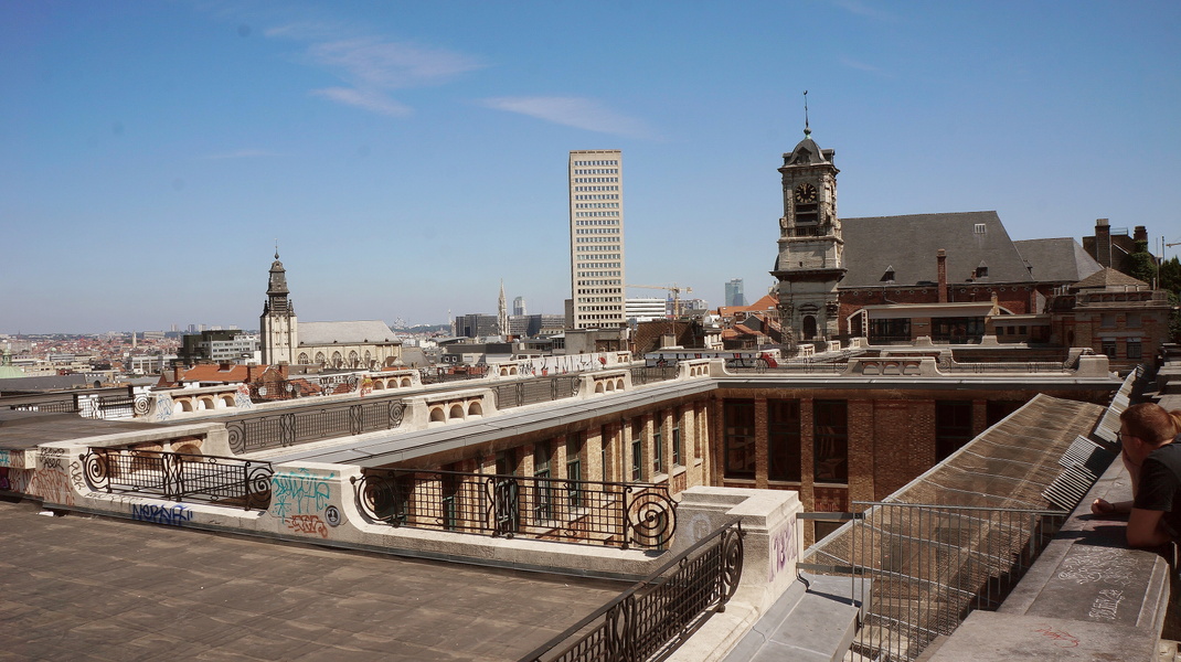 Urban View: Brussels Rooftop Panorama with Historic Church and Steeple