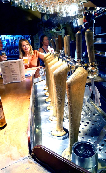 A lively pub scene with taps ready for customers