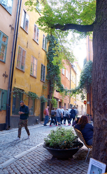 Quiet Afternoon in a European Alley