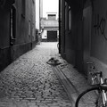 Stockholm Alleyway