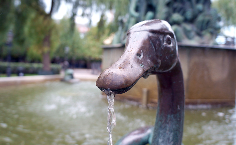 Whimsical Duck Fountain in Stockholm Park