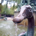 Whimsical Duck Fountain in Stockholm Park