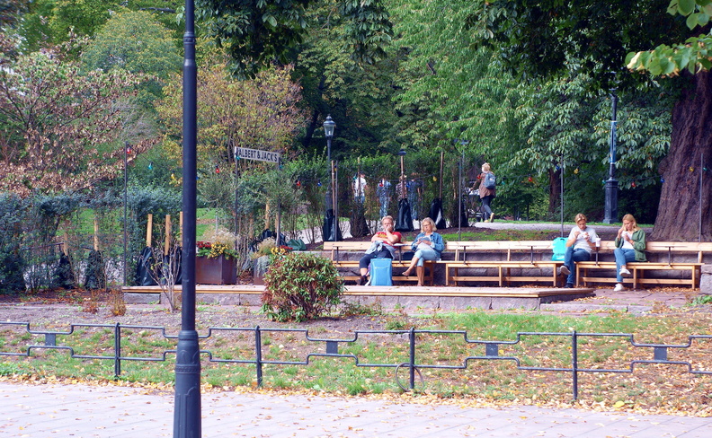 Serene Park Bench on a Crisp Autumn Day