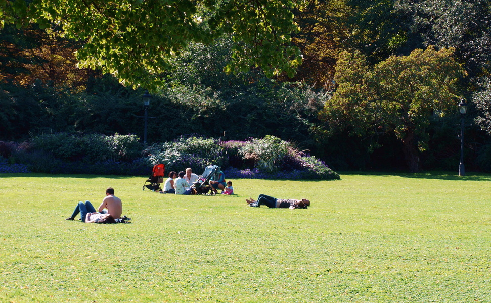 Serene Afternoon in a Park