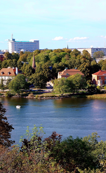 Tranquil Scene Overlooking a River