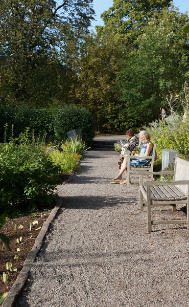 Serene Afternoon in a European Garden