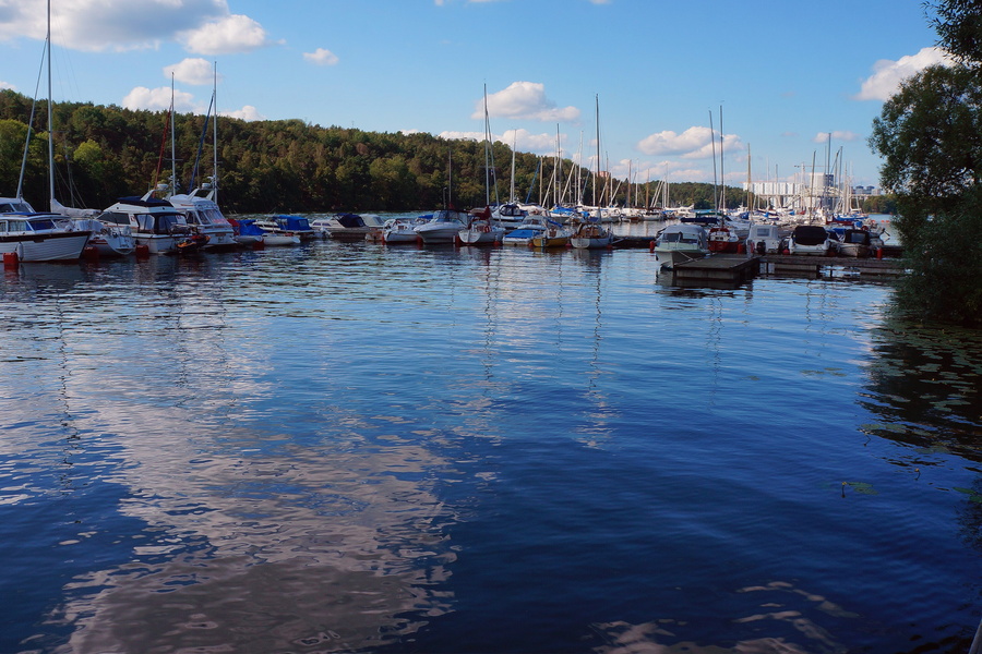 Tranquil Marina at Dusk