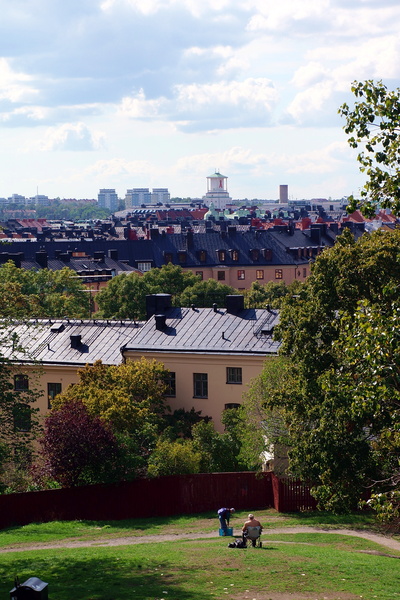 Urban Scene with Residential Buildings and Park