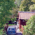 Serene Suburban Scene
