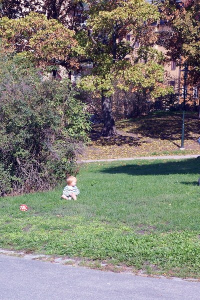 A Day of Play in the Park