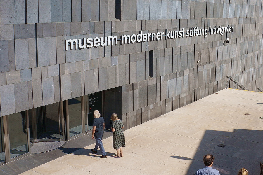 Exploring a Museum Entrance in Vienna