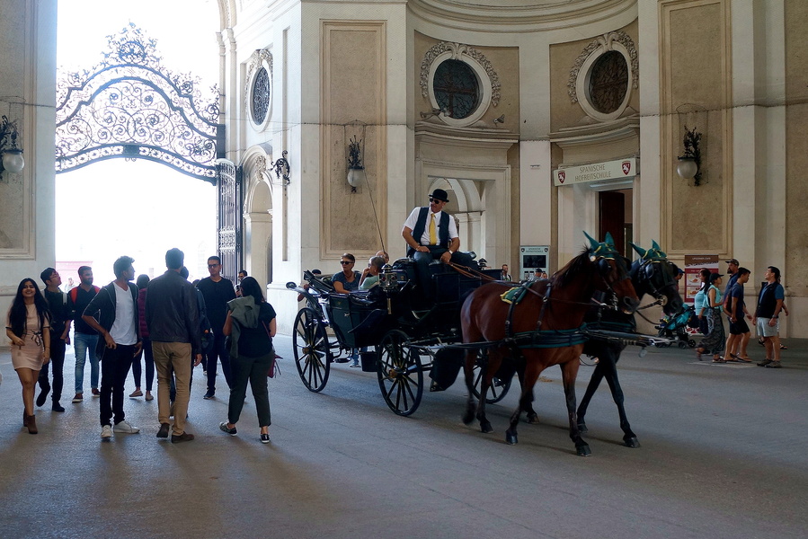 A Gathering at a Horse Show in Vienna, Austria