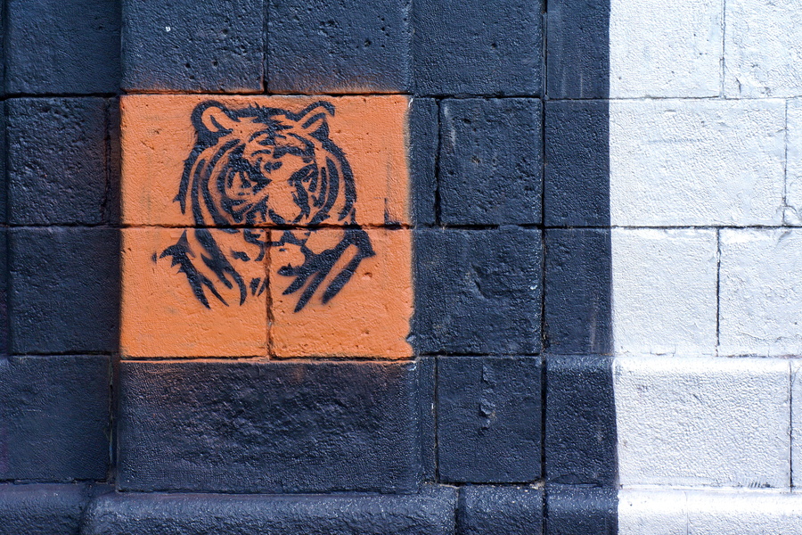 Tiger Mural on Black Wall