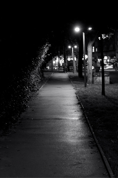 Early Morning Solitude on a Wet City Street